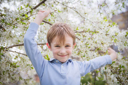 Cute boy among spring blooming tree smilingの写真素材