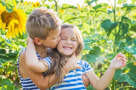 Girl and boy kissing among sunflower fieldの写真素材
