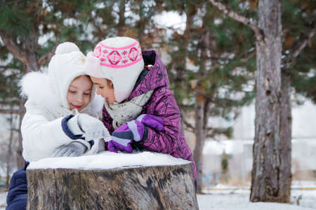 Two cute girls talking among winter parkの写真素材