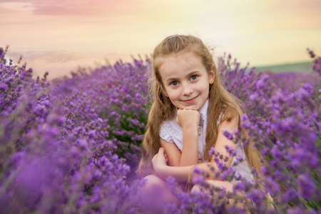Cute girl in lavender field at sunsetの写真素材