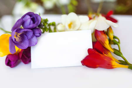 Freesia flowers and blank postcard on white backgroundの写真素材