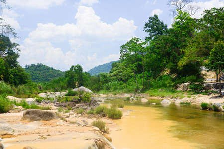 River in asian junglesの写真素材