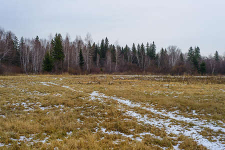 Autumn snowy fieldの写真素材