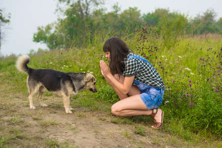 Portrait of pretty brunette playing with dog in summer countryの写真素材