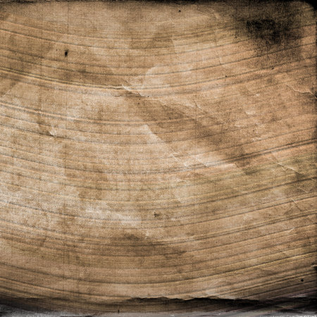 This image was created as digital imitation of painting on textured surface