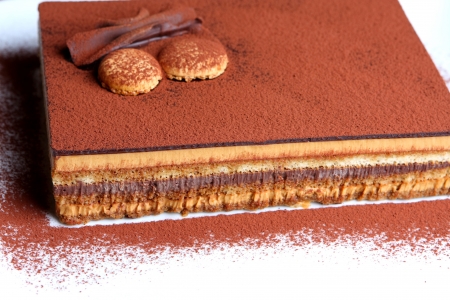 Chocolate Tiramisu Cakeの写真素材