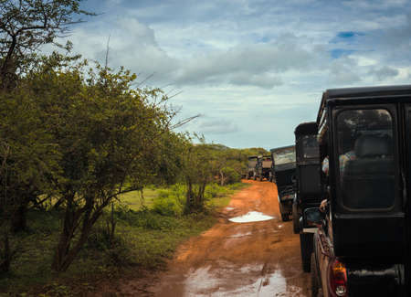 YALA, SRI LANKA - MARCH 02, 2017 -A line of jeeps, taking tourists, on a tour, around Yala national parkのeditorial素材