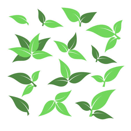 Set of green leaf icons. Leaves on white background.  Vector illustration.のイラスト素材