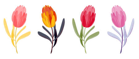 Set of different colors tulips with leaves. Collection of hand-drawn flowers for wedding cards, postcards, holidays. Vector illustration isolated on white backgroundのイラスト素材