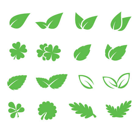 Leaves icon vector set isolated on white background. Various shapes of green leaves of trees and plants. Elements for eco and bio.のイラスト素材