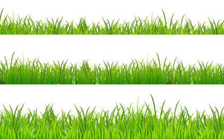 Green Grass borders set isolated on white background. Summer lawn collection. Tufts of grass in line. Meadow panorama for poster. Herbs elements for your design. Vector illustration EPS10のイラスト素材