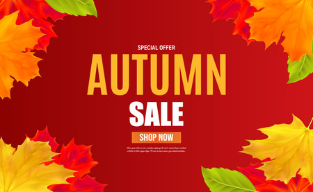 Autumn sale banner template with leaves for shopping sale, banner, poster. Vector illustration EPS10のイラスト素材