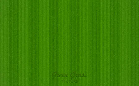 Green grass texture vector background EPS10のイラスト素材