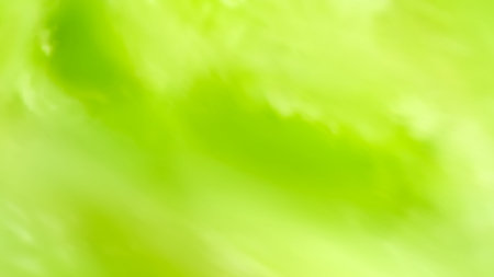 Vector abstract background. Light green color modern wallpaper with gradient for summer poster,...