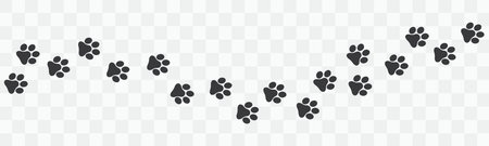 Paw vector foot trail print on transparent background. Cat or Dog Foot trail, path pattern animal tracksのイラスト素材