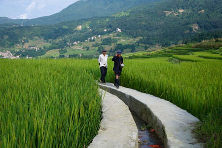 Yuanyang, China, August  2013, Yuanyang Farmers In Rice Paddiesのeditorial素材