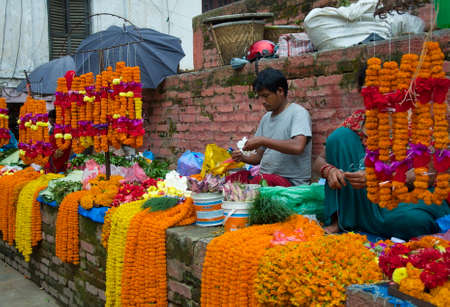 Marigold Sellerのeditorial素材