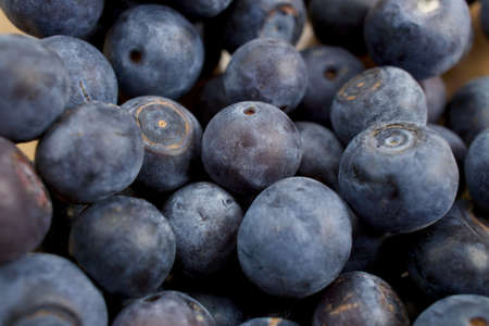 Blackberriesの写真素材