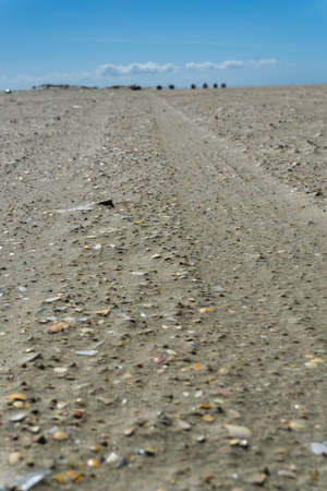 Tire tracks in the sandの写真素材