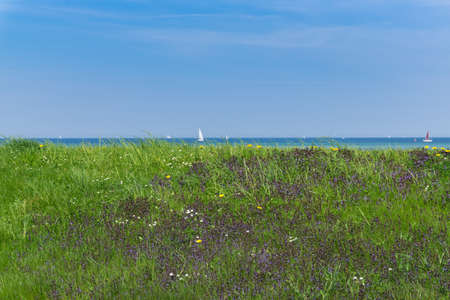 Green dike with sail ships in the background, Germany, Baltic Seaの写真素材