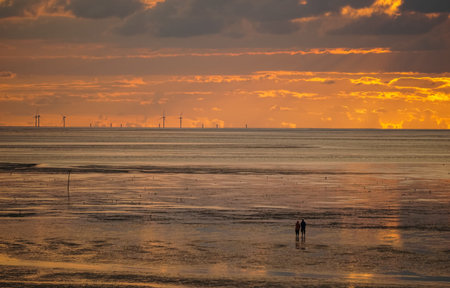 A couple walking in the sunset through the Wadden Sea with at offshore wind farm in the background