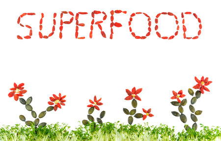 Superfood, flowers from goji berries with pumpkin seeds and cress as lawn, copyspace, white background, big letters from goji berriesの写真素材
