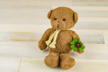 Teddy with a four-leaf clover