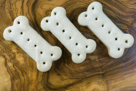 Three chewing bones of a dog