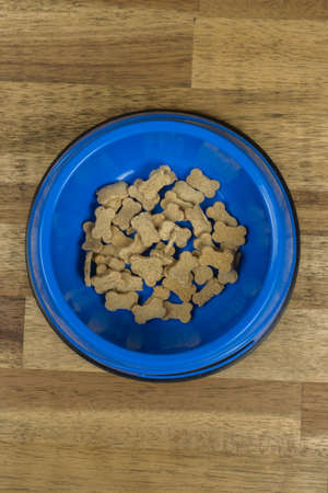 Blue dog bowl with dog food, wooden backgroundの写真素材