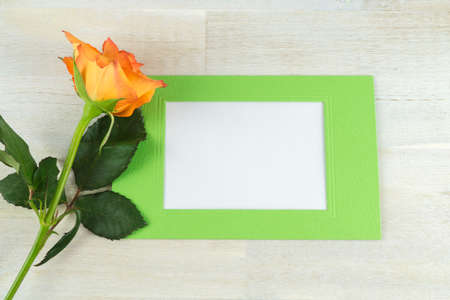 Orange rose with green frame with blank white copy space, wooden backgroundの写真素材