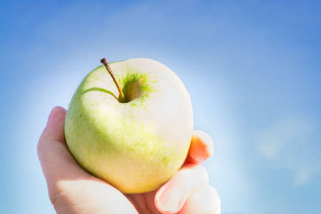 Apple fruit holding in handの写真素材