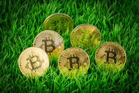 bitoins in the grassの写真素材