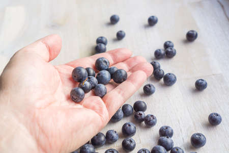 Blueberries in a handの写真素材