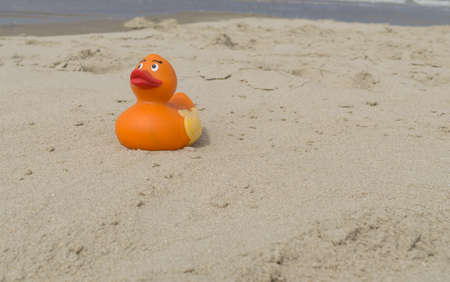 Little toy duck on the beachの写真素材