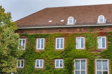 house wiht ivy facadeの写真素材