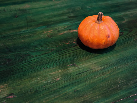 hokkaido pumpkin