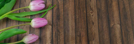 Banner with pink tulips on wooden tableの写真素材