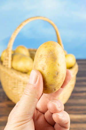 Woman holding a raw potato between her fingers, in the background stands a wicker basket with potatoesの写真素材