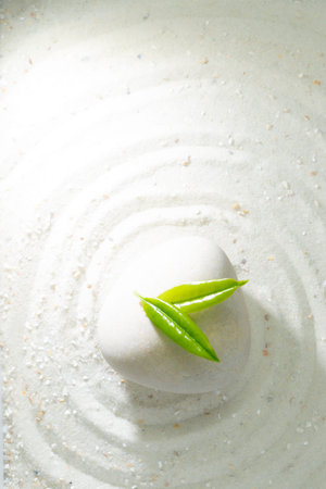 White stone with green leafs in white sand, passing through the circles, vertical and copy space