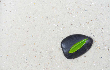 Black stone with a green leaf in white sand, passing through the circlesの写真素材