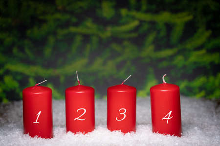 Four red Advent candles in the snow, in the background fir treesの写真素材