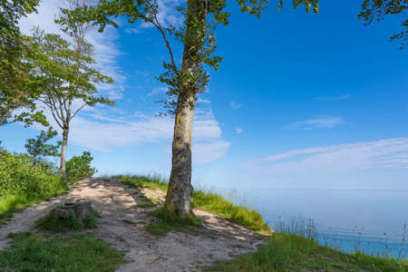 Beautiful landscape of northern Germany with trees, meadows and fields on a sunny summer day, panoramaの写真素材