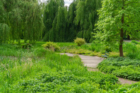 Park with lots of trees and a wooden bench in Kassel, Germanyの写真素材