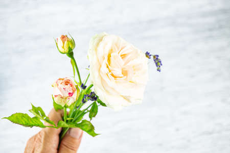 Small bouquet of white roses and lavender held in one hand and copy spaceの写真素材