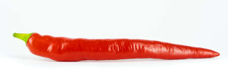 A fresh red chili pepper isolated on white, banner with copy spaceの写真素材