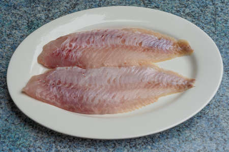Two fillets of freshly caught redfish on a plateの写真素材