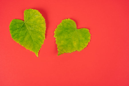 Two green heart shaped leaves on a red background