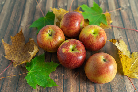 fresh apple fruits in autumnの写真素材