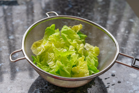 A colander with freshly cleaned lettuceの写真素材