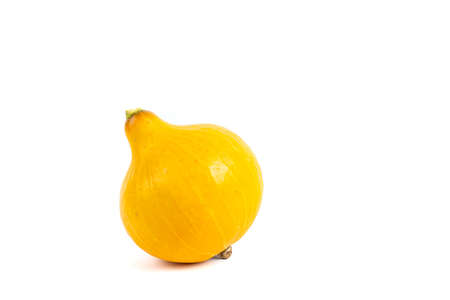 Yellow pumpkin with white background, copy spaceの写真素材